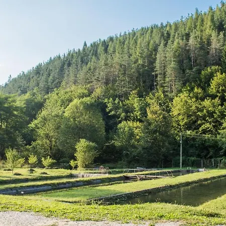 Villa черна река Ribarica