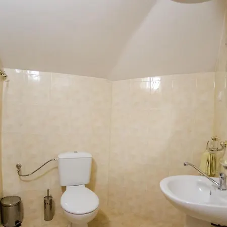 Vilă черна река Ribarița